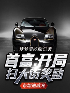 首富：开局扫大街奖励布加迪威龙