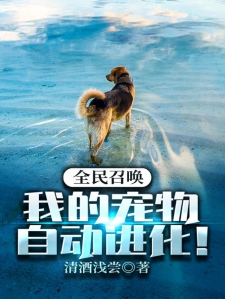 全民召唤：我的宠物自动进化！
