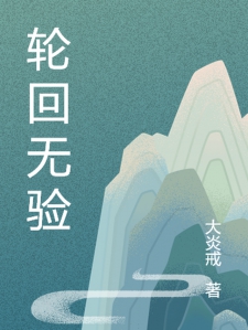 轮回无验小说