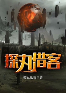 探丸借客小说