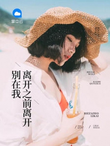 别在我离开之前离开小说
