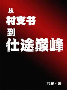 从村支书到仕途巅峰