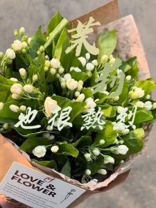 茉莉也很热烈