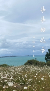 朵朵的远方
