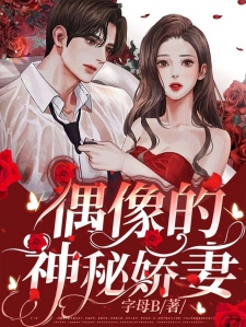 偶像的神秘娇妻小说