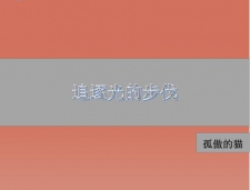 追逐光的步伐小说