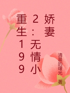 重生1992：无情小娇妻小说