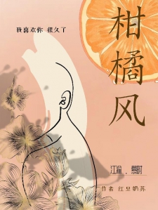 柑橘风