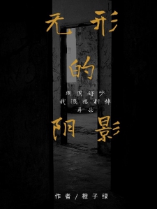 无形的阴影小说