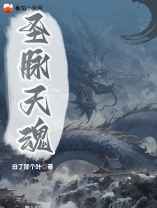 圣脉天魂小说