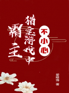 不小心猎宝游戏中霸主小说