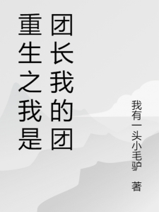 重生之我是团长我的团小说