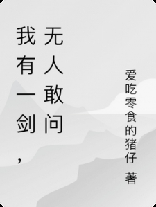 我有一剑，无人敢问小说