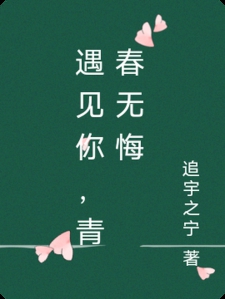 遇见你，青春无悔小说