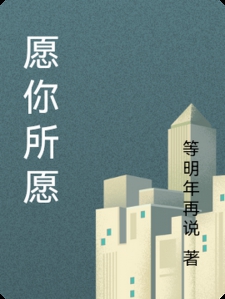 愿你所愿小说