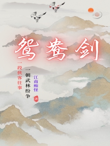 鸳鸯剑小说