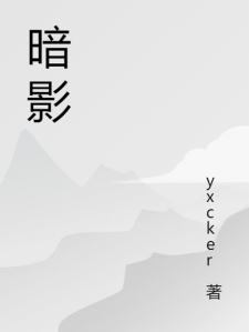 暗影2023小说