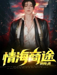 情海商途小说