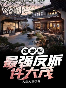 四合院：最强反派许大茂小说