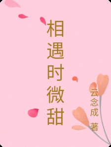 相遇时微甜小说