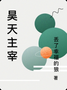 昊天主宰小说