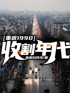 重返1990：收割年代小说