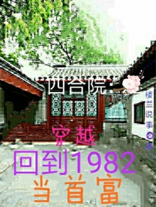 穿越：回到1982当首富小说