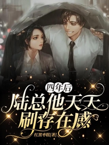 四年后，陆总他天天刷存在感！小说