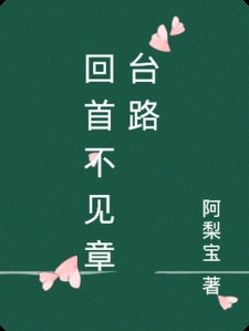 回首不见章台路小说