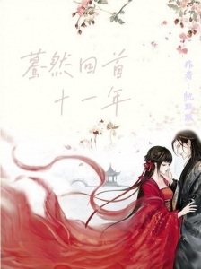 蓦然回首十一年小说