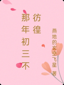 那年初三不彷徨小说