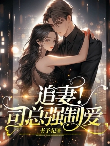 追妻！司总强制爱小说