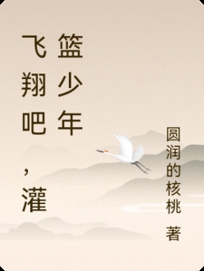 飞翔吧，灌篮少年小说