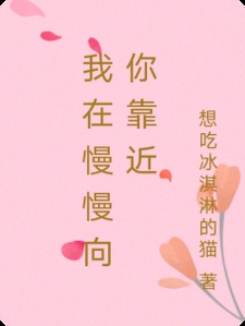 我在慢慢向你靠近小说