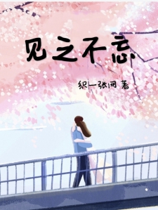 见之不忘