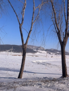 你好习习，再见习习
