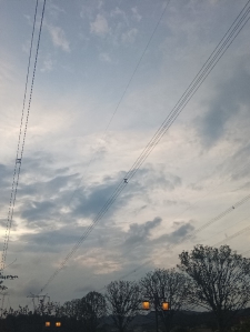 南风知情意