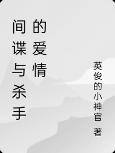 间谍与杀手的爱情小说