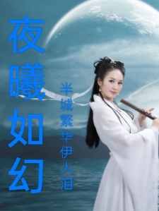 夜曦如幻小说