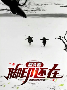 回头看脚印还在小说
