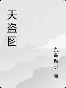 天盗图