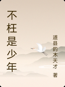 不枉是少年