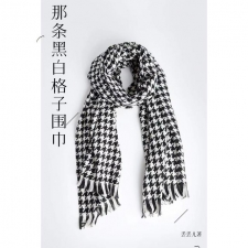 那条黑白格子围巾小说