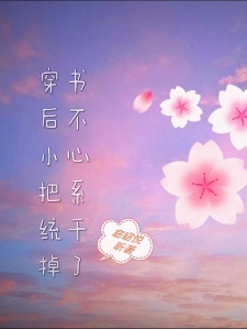 穿书后不小心把系统干掉了