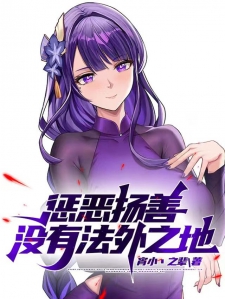 惩恶扬善没有法外之地小说