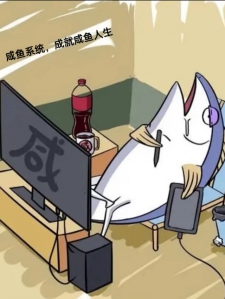 咸鱼系统，成就咸鱼人生