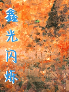 鑫光闪烁