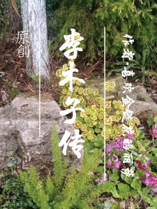 李木子传