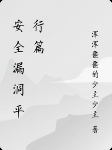 安全漏洞平行篇小说