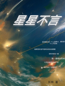 星星不言